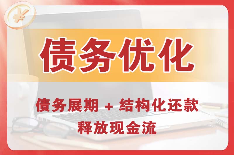 盐津债务优化